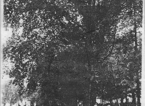 Hazlemere Park (circa 1910)